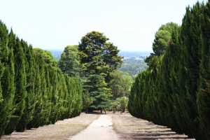 carrick hill 2014 (110)